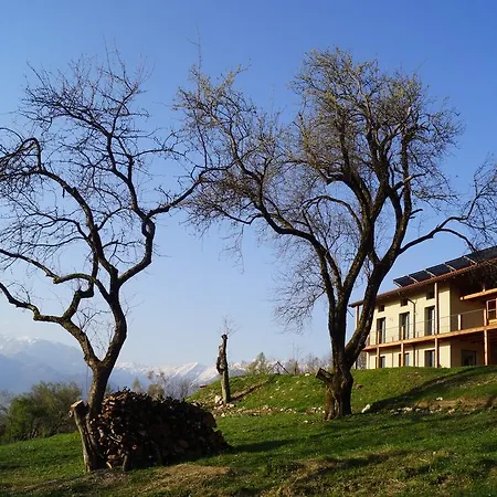 Apartma Lom Most Na Soci